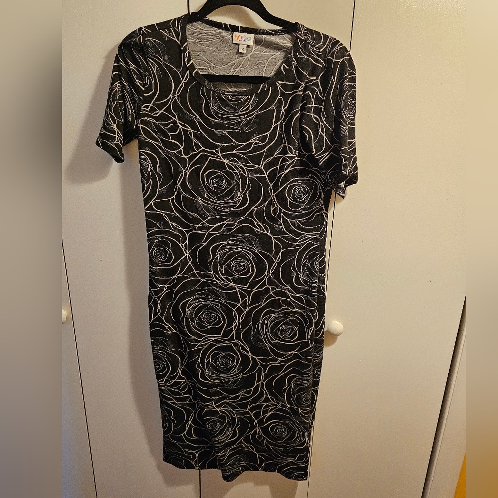 Medium Julia Lularoe EUC